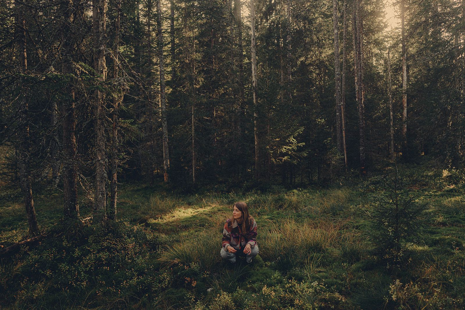 Salomé accropie dans la forêt