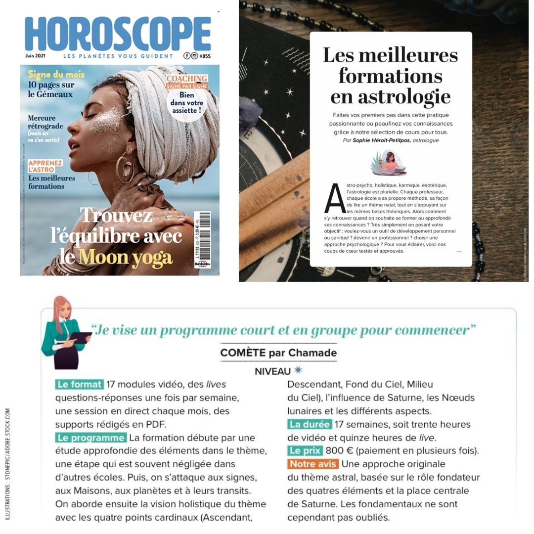 Une capture du journal de l'article